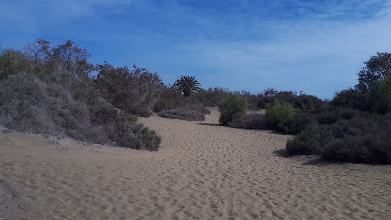 Cruising in Maspalomas (Gran Canaria)